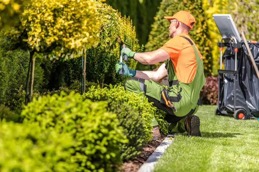 Landscaping Contractor in Farmers Branch, TX