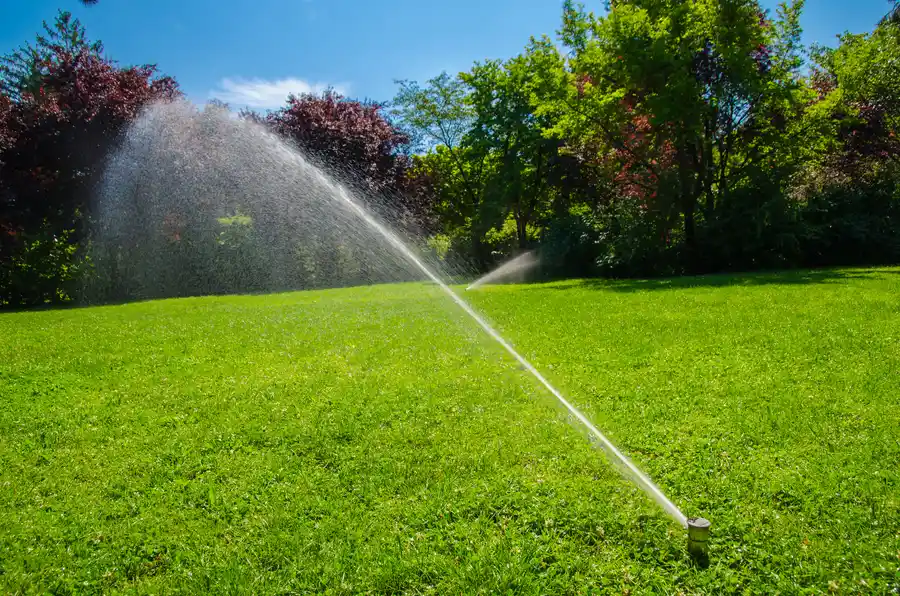 How Irrigation Installation Helps Maintain A Lush Lawn in Farmers Branch, TX