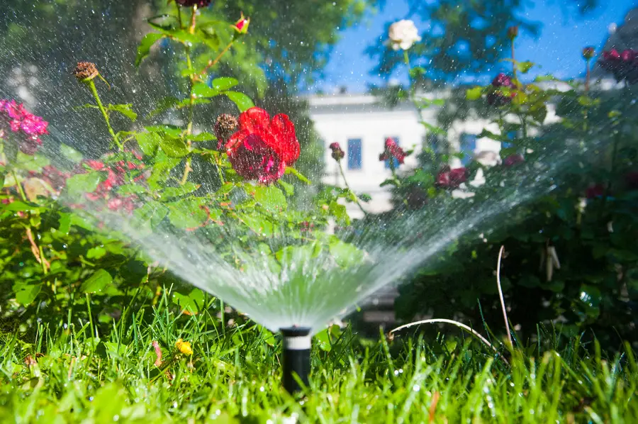 Steps To Prepare Your Yard For Sprinkler Installation Farmers Branch, TX