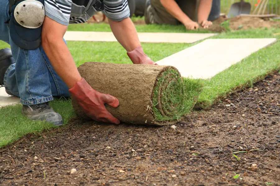 Professional Synthetic Turf Installation Mercer Crossing, Farmers Branch, TX, 75234 A team installing synthetic turf in Mercer Crossing, Farmers Branch, TX, 75234