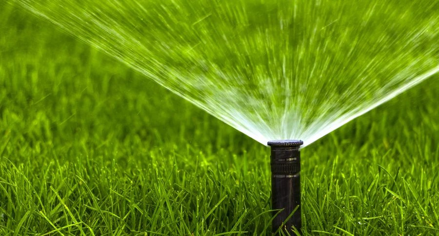 The Role Of Irrigation Installation In Promoting Healthy Plants Farmers Branch, TX