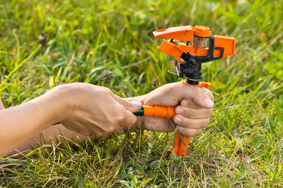 The Role Of Irrigation Installation In Promoting Healthy Plants in Brookhaven Hills West, Farmers Branch, TX, 75234 The Role Of Irrigation Installation In Promoting Healthy Plants in Brookhaven Hills West, Farmers Branch, TX, 75234