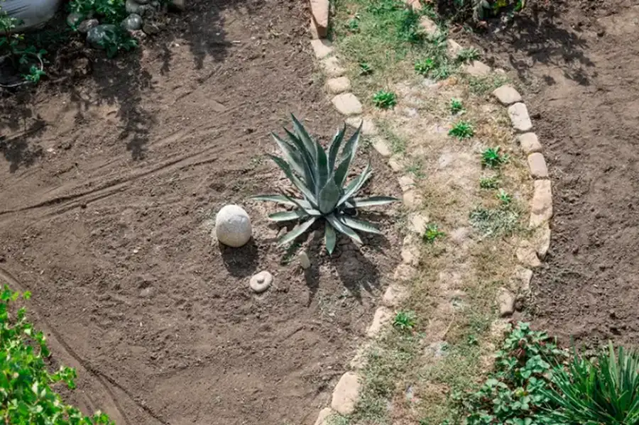 The Role Of Soil Quality In Landscape Installation Success Farmers Branch, TX
