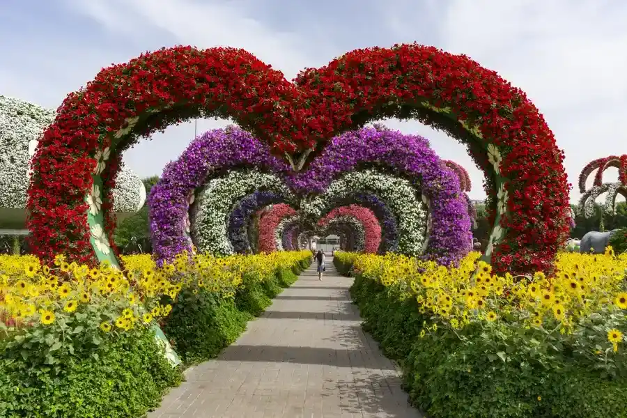 Top-rated Landscape Installation Farmers Branch, TX